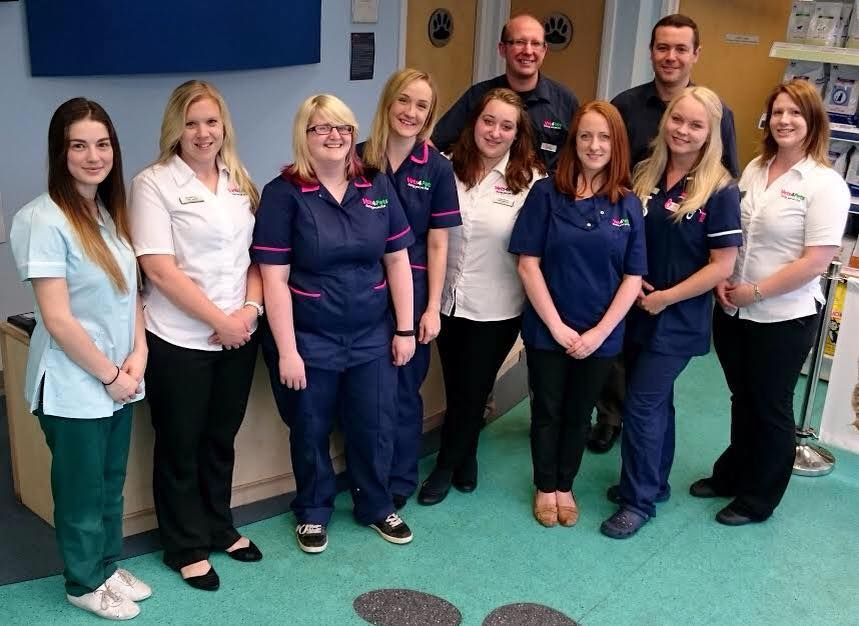 canidae dog food amazon